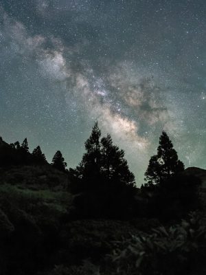 国产奇幻动漫封面，双男主对峙场景，背景为暗夜星空与妖气弥漫的战场